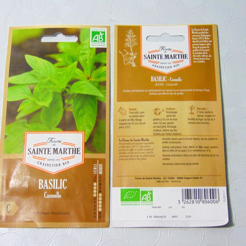 Esempio di esemplare Basilico Cinnamorum sacchetto di semi 150 (0.2g) come consegnato