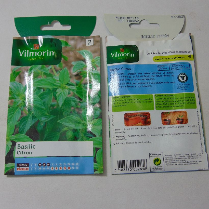 Esempio di esemplare Basilico Limone - Vilmorin sacchetto di semi 800 (1g) come consegnato
