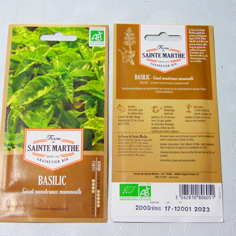 Esempio di esemplare Basilico Mostruoso-Mammouth sacchetto di semi 150 (0.24g) come consegnato