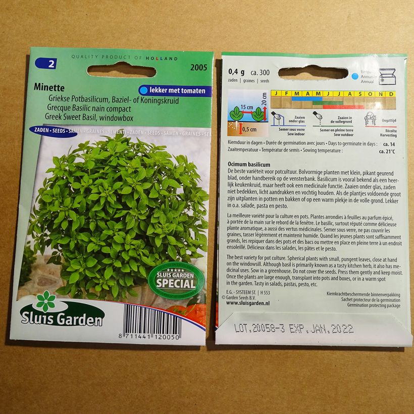 Esempio di esemplare Basilico Nano greco Minette sacchetto di semi 600 (1g) come consegnato