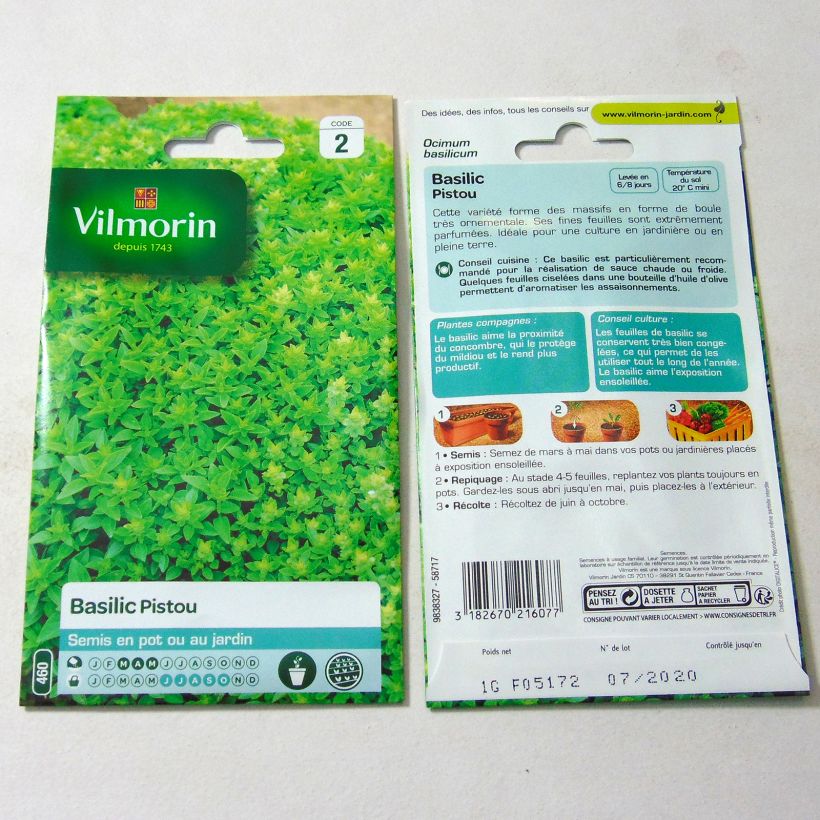Esempio di esemplare Basilico Pistou - Vilmorin sacchetto di semi 800 (1g) come consegnato