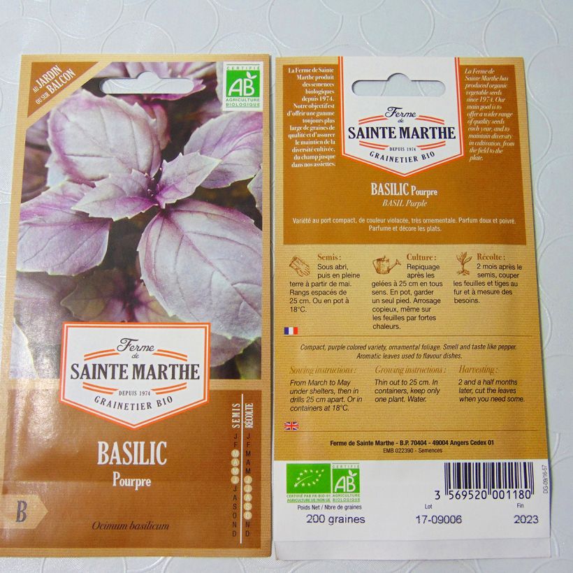 Esempio di esemplare Basilico Viola sacchetto di semi 250 come consegnato