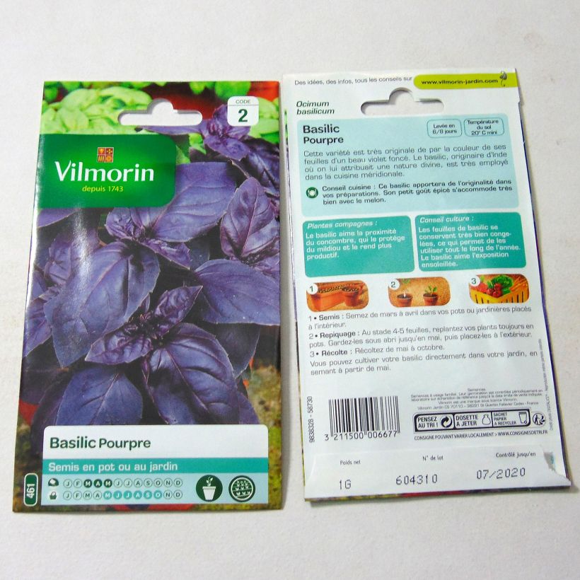 Esempio di esemplare Basilico Purpurascens sacchetto di semi 800 (1g) come consegnato