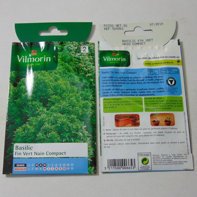 Esempio di esemplare Basilico Fino verde nano compatto sacchetto di semi 1600 (2g) come consegnato