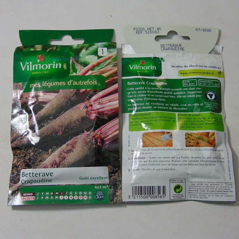 Esempio di esemplare Barbabietola Crapaudine - Vilmorin sacchetto di semi 200 (4g) come consegnato