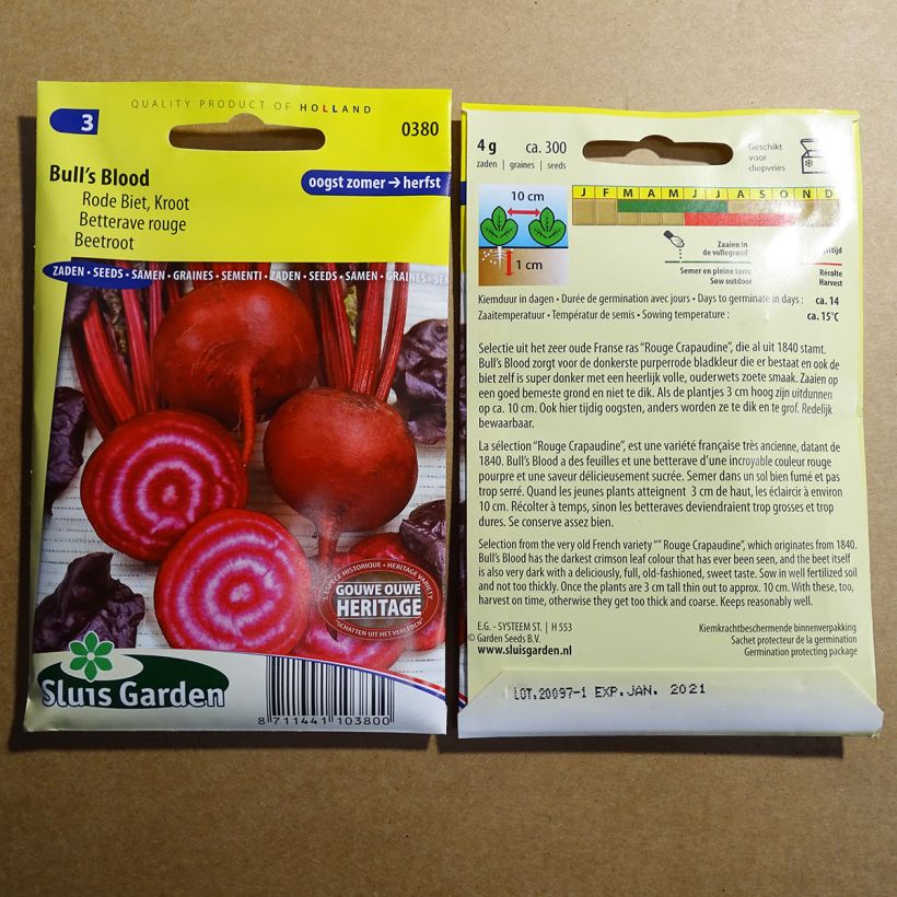 Esempio di esemplare Barbabietola rossa Bull’s Blood sacchetto di semi 200 (5g) come consegnato