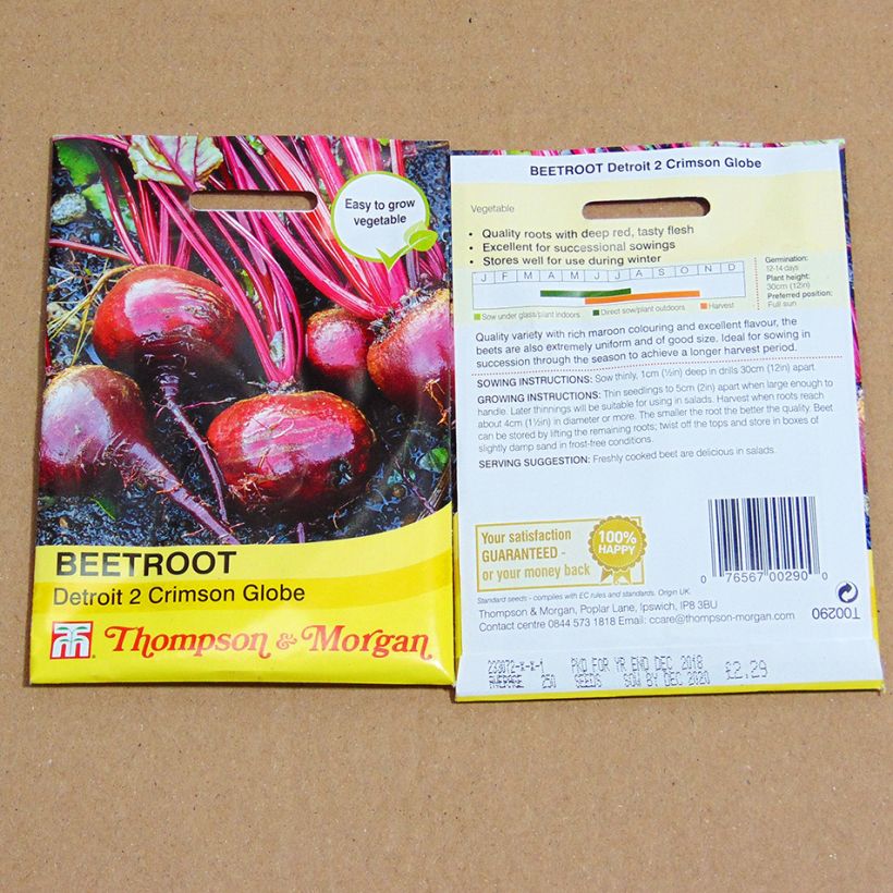 Esempio di esemplare Barbabietola rossa Detroit 2 Crimson Globe sacchetto di semi 300 come consegnato