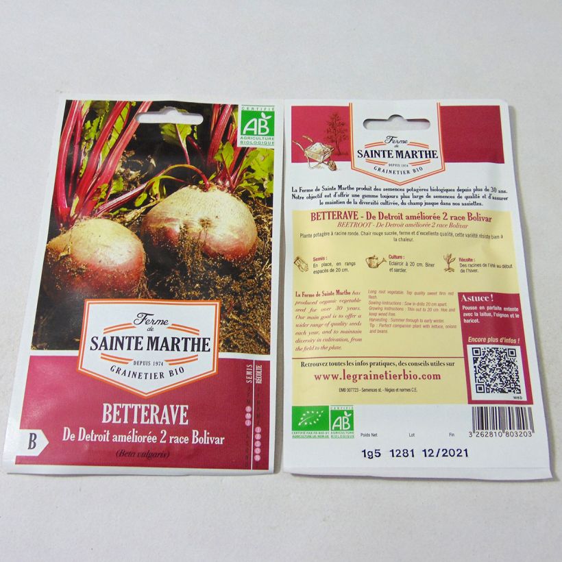 Esempio di esemplare Barbabietola rossa De Detroit Améliorée 2 race Bolivar sacchetto di semi 80 (1.5g) come consegnato