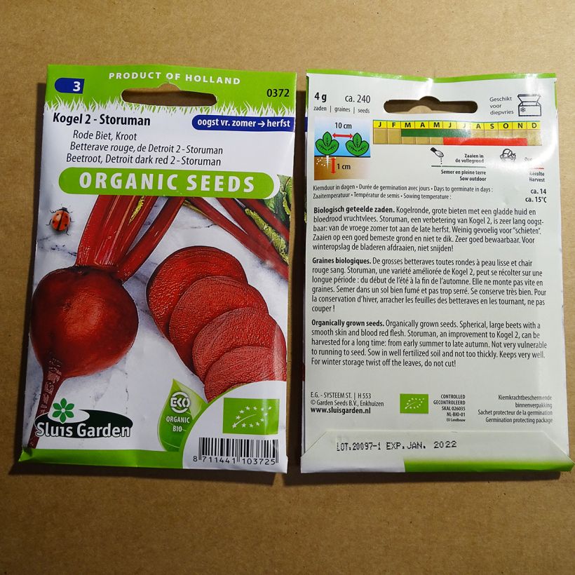 Esempio di esemplare Barbabietola rossa rouge de Detroit - Storuman sacchetto di semi 240 (4g) come consegnato