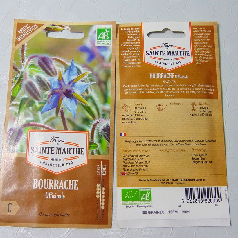 Esempio di esemplare Borago officinalis Alba Bio - Borragine comune sacchetto di semi 50 come consegnato