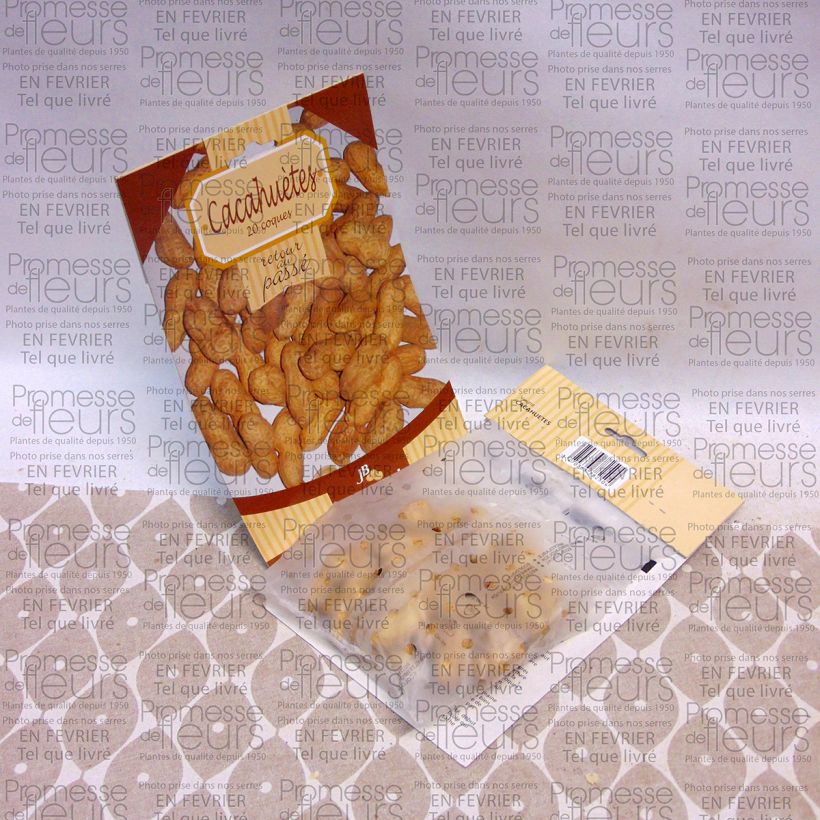 Esempio di esemplare Arachis hypogaea - Arachide sacchetto di semi 20 come consegnato