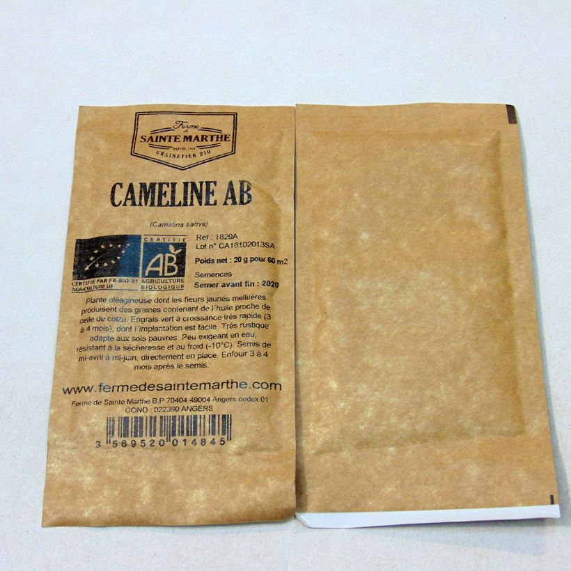 Esempio di esemplare Camelina sativa - Dorella coltivata sacchetto di semi da 20 grammi come consegnato