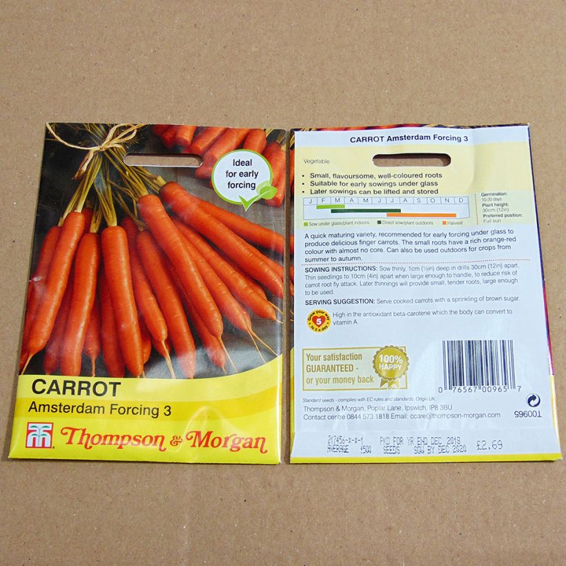 Esempio di esemplare Carota Amsterdam Forcing 3 sacchetto di semi 2000 come consegnato