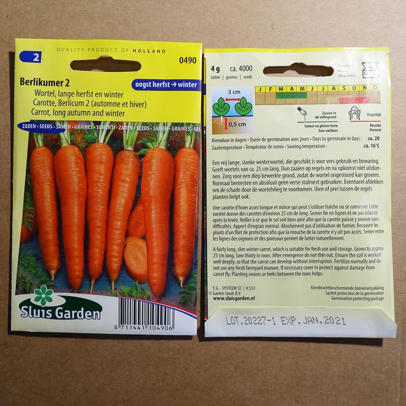 Esempio di esemplare Carota Berlicum 2 sacchetto di semi 3600 (5g) come consegnato