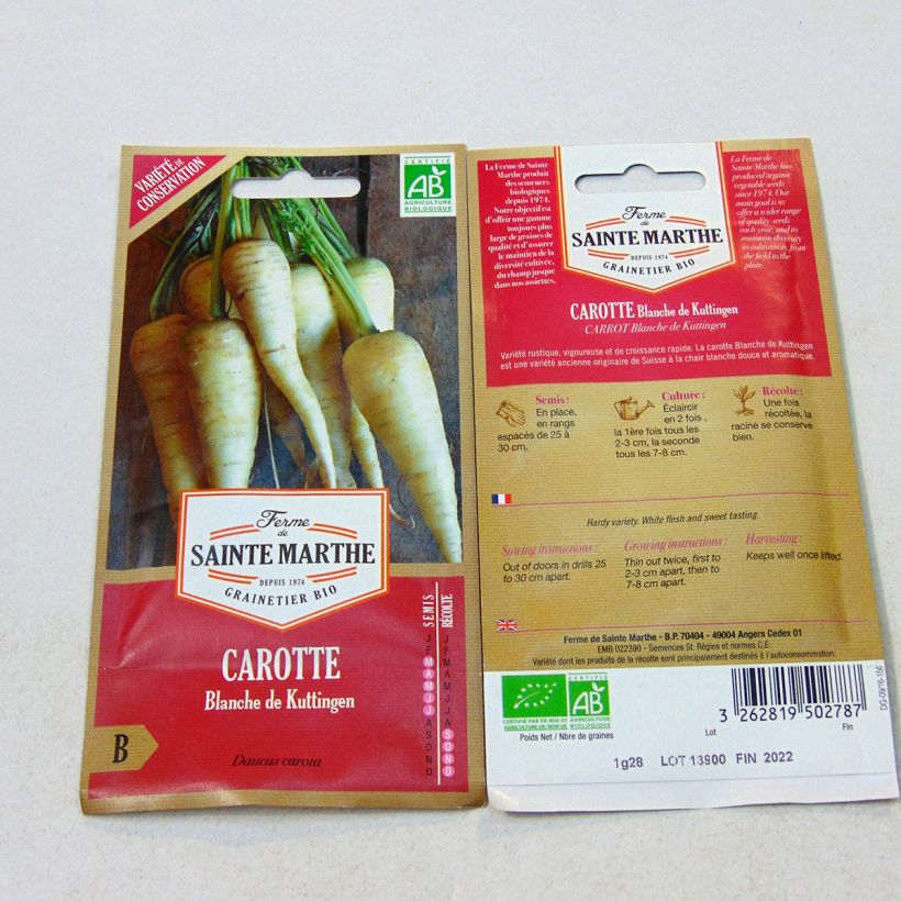 Esempio di esemplare Carota bianca Blanche de Küttingen sacchetto di semi 500 (1.35g) come consegnato