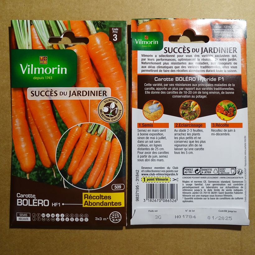 Esempio di esemplare Carota Bolero sacchetto di semi 1500 (3g) come consegnato