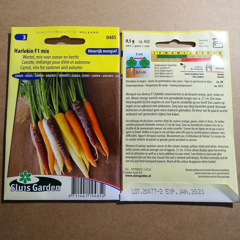Esempio di esemplare Carota Harlekin mix sacchetto di semi 400 ? 500 (0,5g) come consegnato
