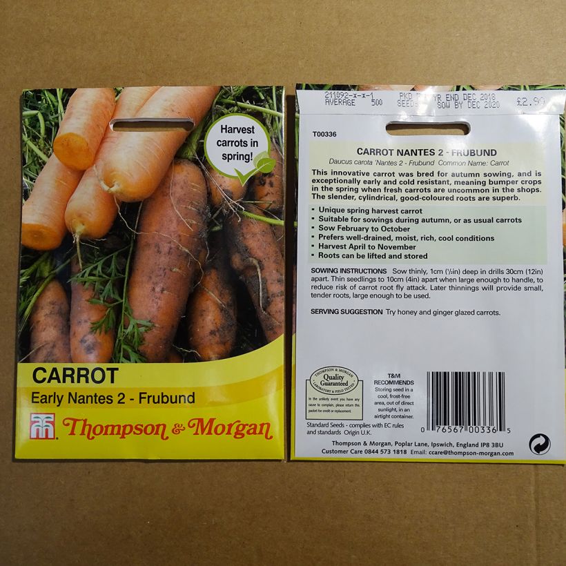 Esempio di esemplare Carota Nantese 2 - Frubund sacchetto di semi 500 come consegnato