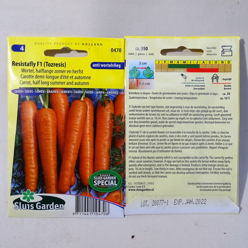 Esempio di esemplare Carota Resistofly F1 sacchetto di semi 375 come consegnato