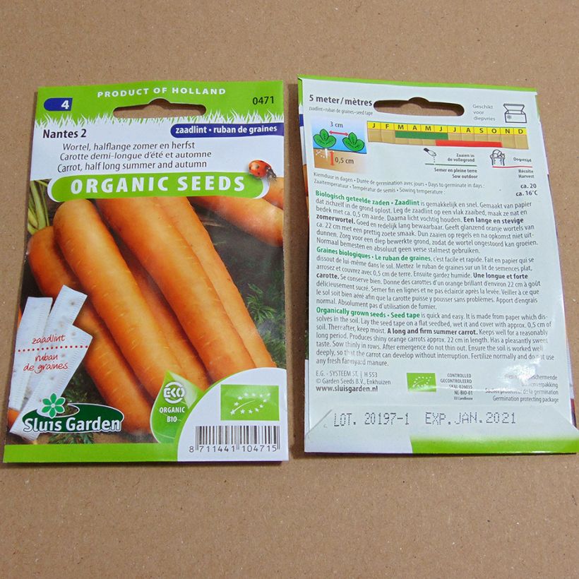 Esempio di esemplare Carota Nantese 2 (Semi a nastro) sacchetto di semi da 5 grammi come consegnato