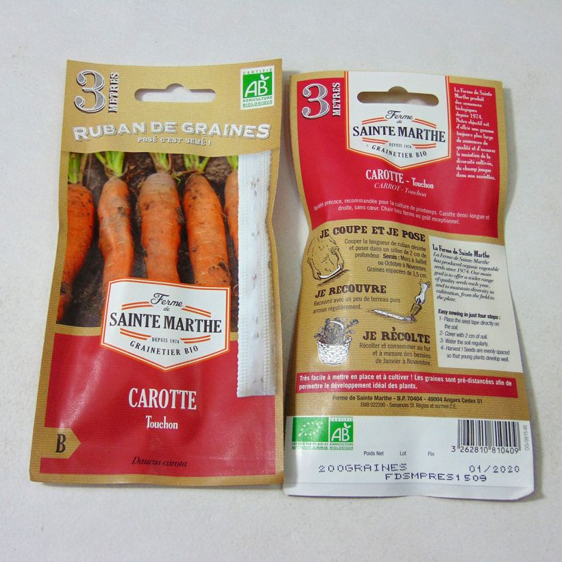 Esempio di esemplare Carota Touchon (Semi a nastro) Semi su nastro come consegnato