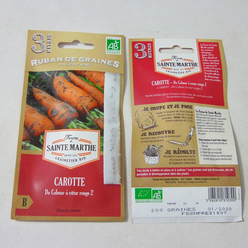 Esempio di esemplare Carota Colmar a cuore rosso 2 (Semi a nastro) Semi su nastro come consegnato