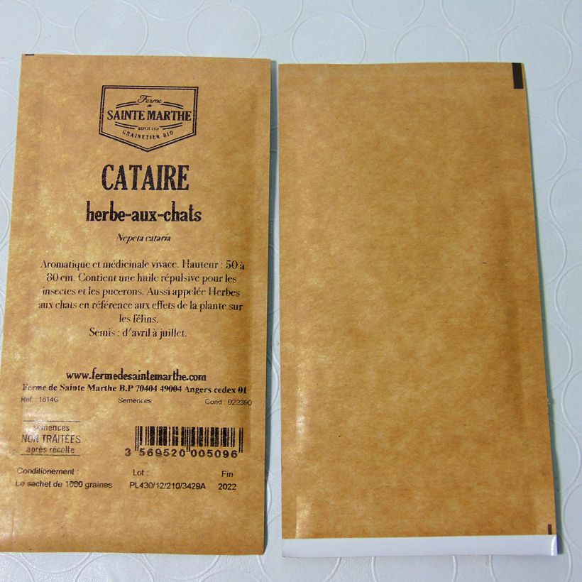Esempio di esemplare Nepeta cataria - Erba gatta NT - Ferme de Sainte Marthe sacchetto di semi 1000 come consegnato