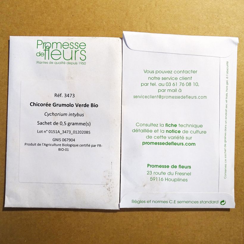 Esempio di esemplare Cicoria Grumolo Verde sacchetto di semi 300 (0.5g) come consegnato