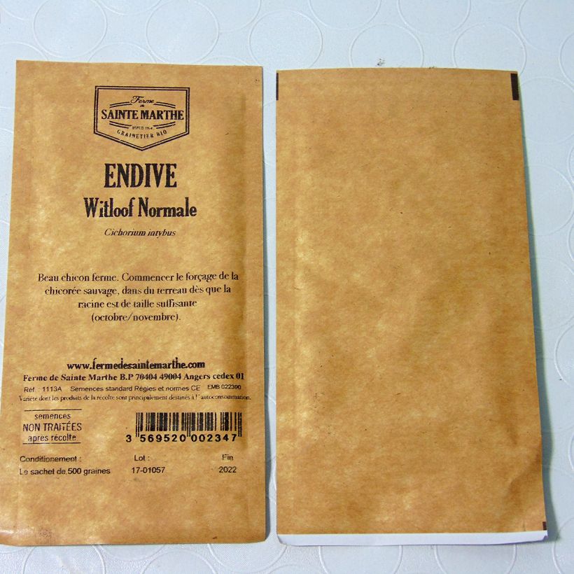 Esempio di esemplare Cicoria Witloof Alba sacchetto di semi 500 (1g) come consegnato
