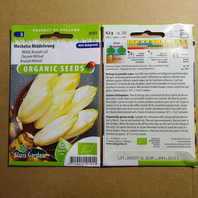 Esempio di esemplare Indivia Witloof Mechelse Middelvroeg sacchetto di semi 600 (1g) come consegnato