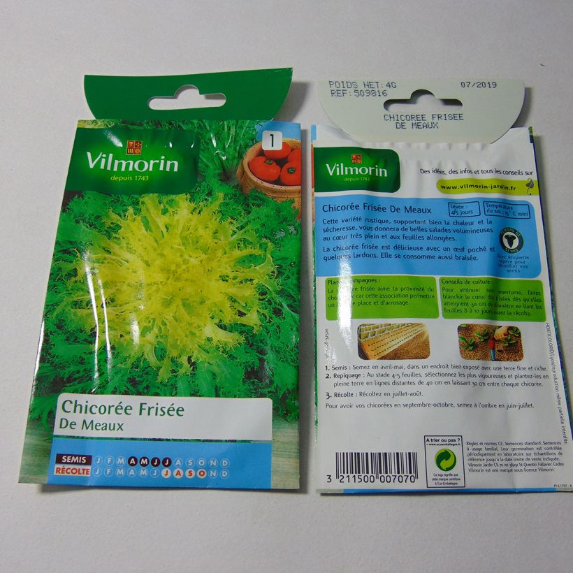 Esempio di esemplare Indivia riccia de Meaux - Vilmorin sacchetto di semi 2400 (4g) come consegnato
