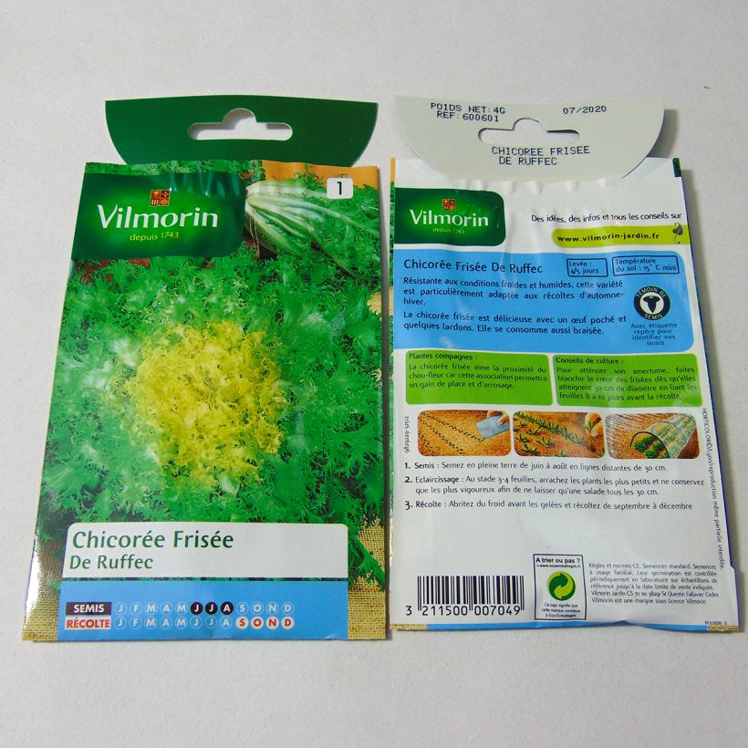 Esempio di esemplare Indivia riccia de Ruffec - Vilmorin sacchetto di semi 2400 (4g) come consegnato