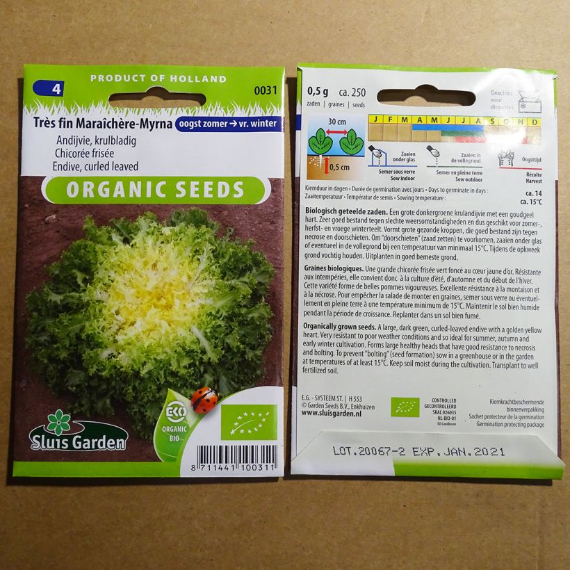 Esempio di esemplare Indivia riccia Myrna Bio sacchetto di semi 250 (0.5g) come consegnato