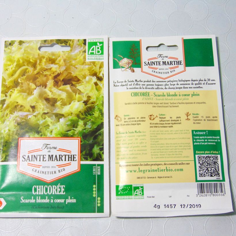 Esempio di esemplare Cicoria scarola Bionda dal cuore Bio - Ferme de Sainte Marthe sacchetto di semi 2500 (4g) come consegnato