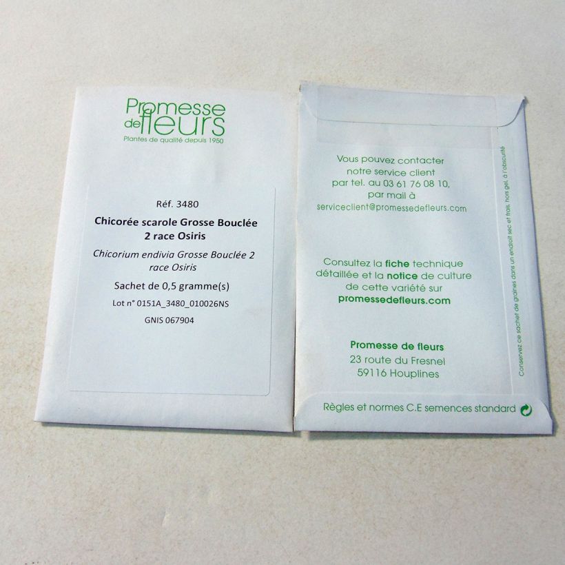 Esempio di esemplare Cicoria scarola gigante riccia Grosse Bouclée 2 race Osiris sacchetto di semi 300 (0.5g) come consegnato