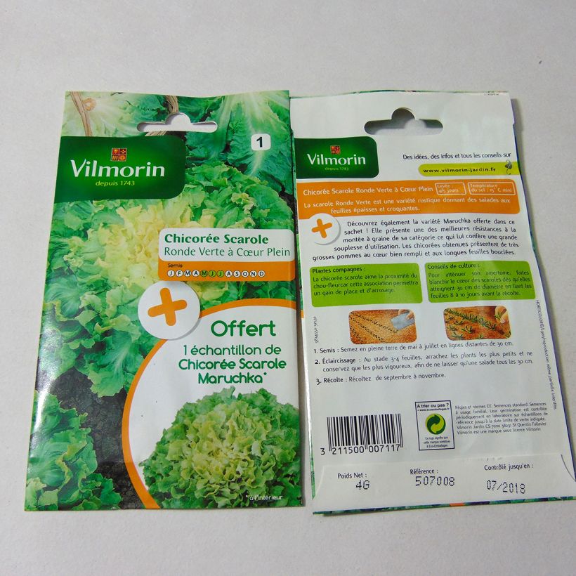 Esempio di esemplare Cicoria scarola Verde rotondo a cuore pieno - Vilmorin sacchetto di semi 2400 (4g) come consegnato