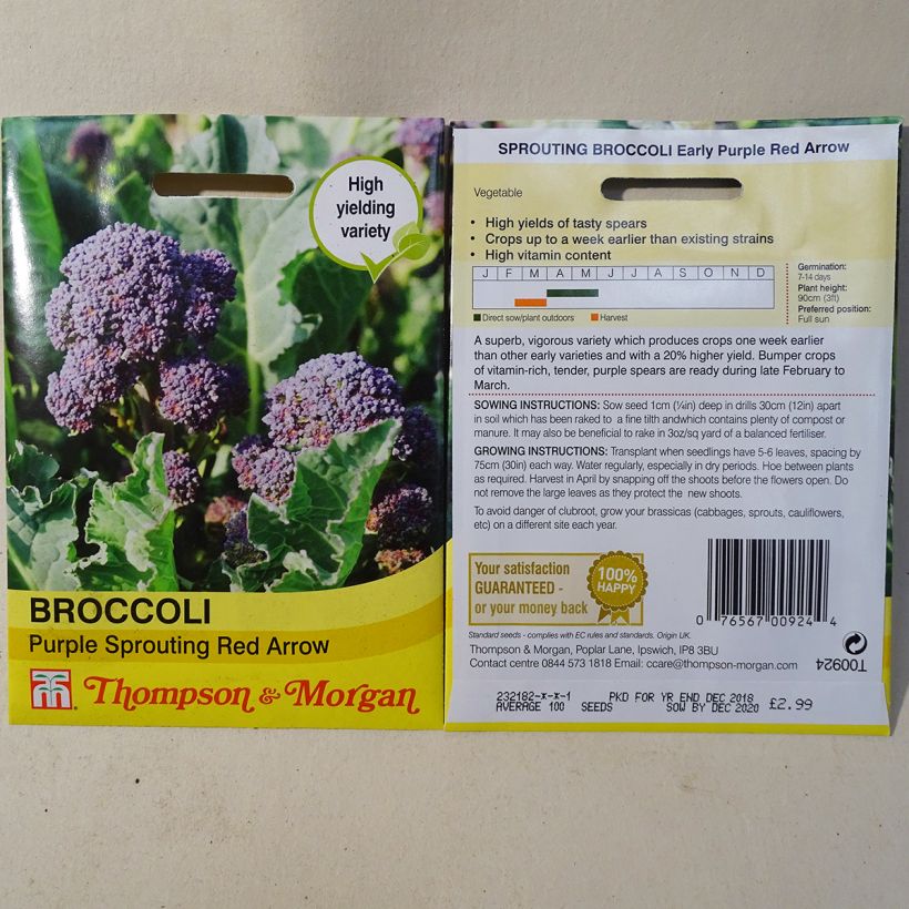 Esempio di esemplare Cavolo broccolo Red Arrow sacchetto di semi 100 come consegnato