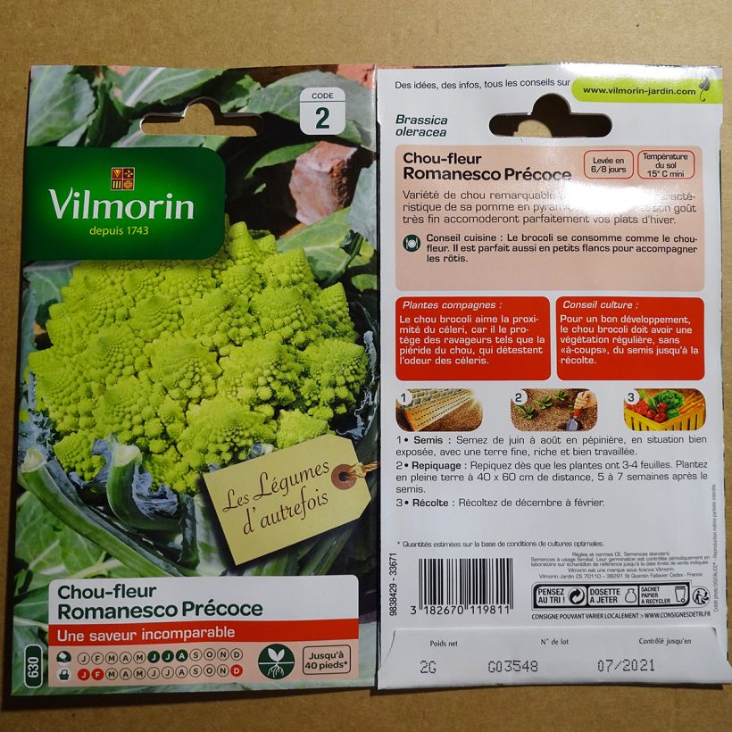 Esempio di esemplare Cavolfiore Romanesco sacchetto di semi 800 (2g) come consegnato