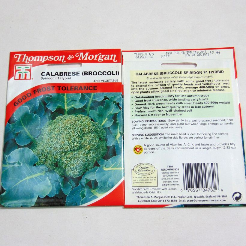 Esempio di esemplare Cavolo broccolo Spiridon F1 sacchetto di semi 30 come consegnato