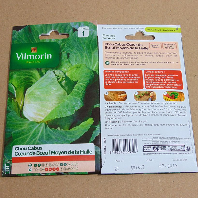 Esempio di esemplare Cavolo cappuccio a Cuor di bue Moyen de la Halle - Vilmorin sacchetto di semi 800 (2g) come consegnato