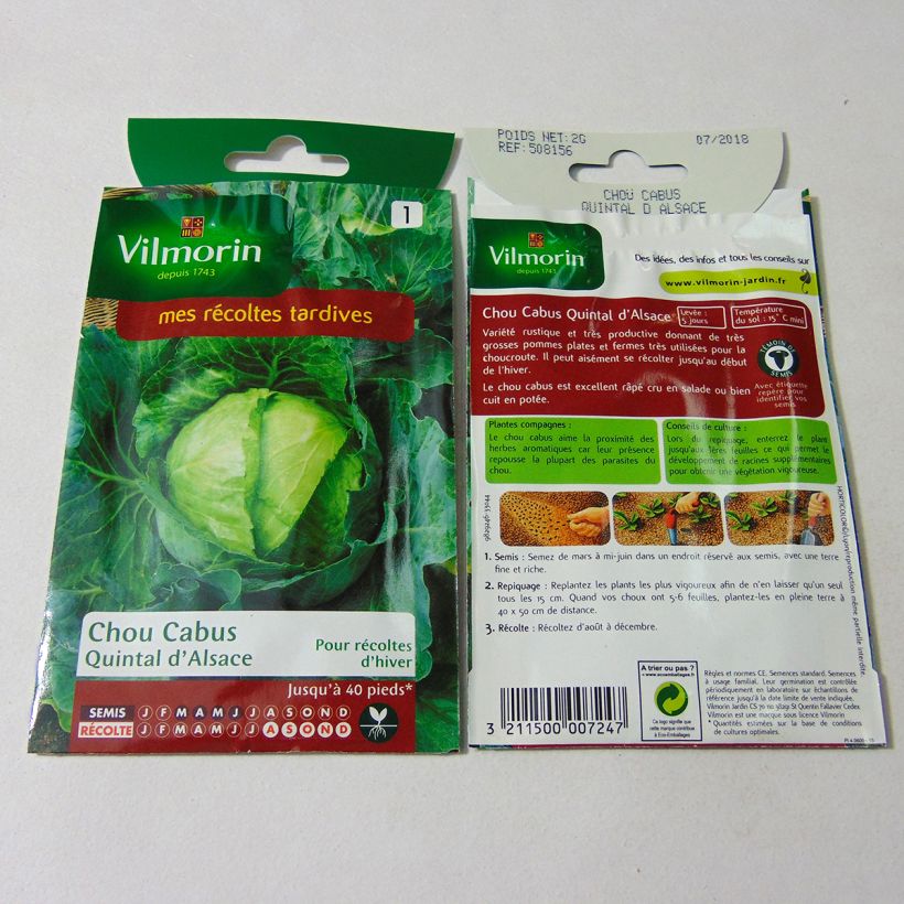 Esempio di esemplare Cavolo cappuccio Quintal d'Alsace - Vilmorin sacchetto di semi 800 (2g) come consegnato