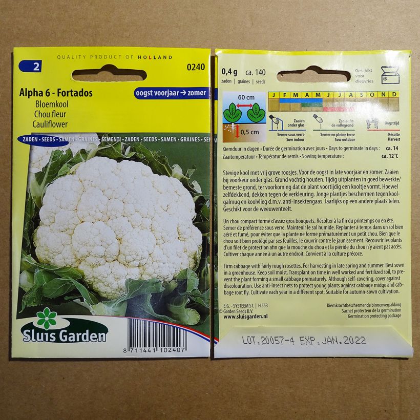Esempio di esemplare Cavolfiore Alpha 6 Fortados sacchetto di semi 140 come consegnato