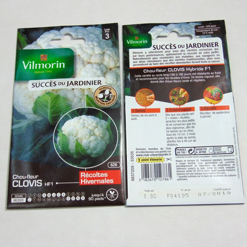 Esempio di esemplare Cavolfiore Clovis F1 sacchetto di semi 320 (0.8g) come consegnato