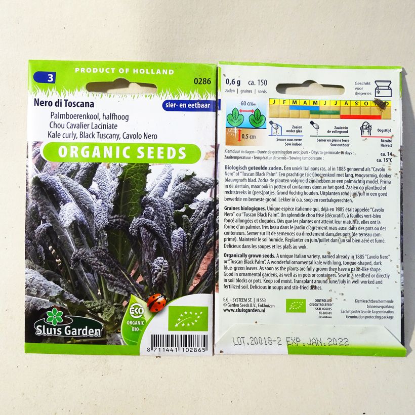 Esempio di esemplare Cavolo riccio Nero di Toscana Bio sacchetto di semi 150 (0,7g) come consegnato