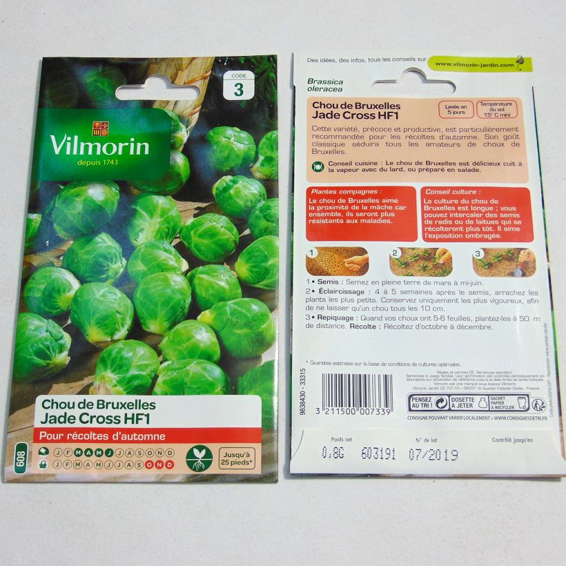 Esempio di esemplare Cavolini di Bruxelles Jade Cross F1 - Vilmorin sacchetto di semi 325 (0.8g) come consegnato