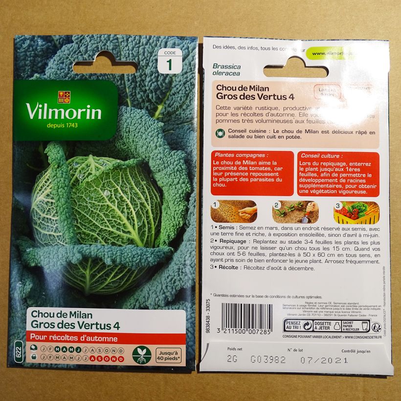 Esempio di esemplare Cavolo verza Gros des Vertus - Vilmorin sacchetto di semi 800 (2g) come consegnato