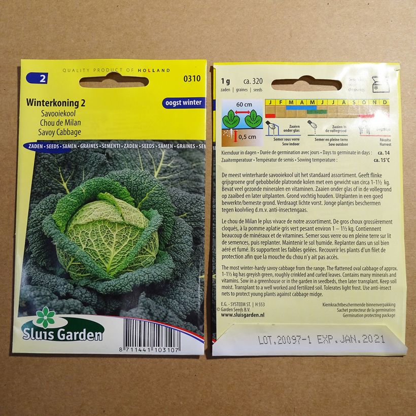 Esempio di esemplare Cavolo verza Winterkoning 2 sacchetto di semi 320 (1g) come consegnato