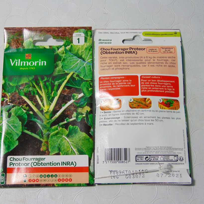 Esempio di esemplare Cavolo da foraggio Proteor - Vilmorin sacchetto di semi 4000 (10g) come consegnato