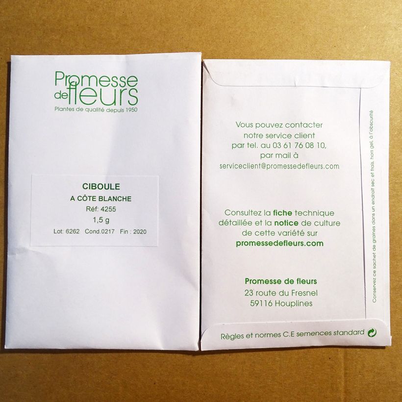 Esempio di esemplare Cipolla d'inverno sacchetto di semi 720 (1.5g) come consegnato