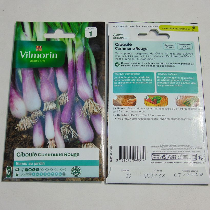 Esempio di esemplare Cipolla d'inverno rosso - Vilmorin sacchetto di semi 1400 (3g) come consegnato